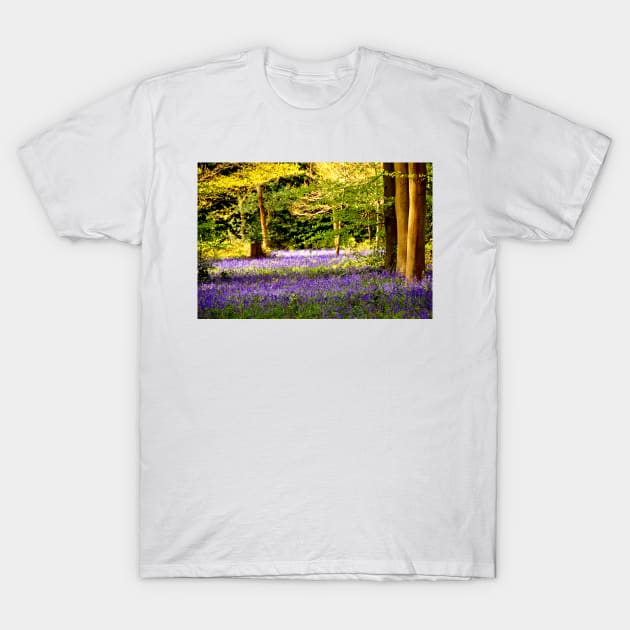 Bluebell Woods Basildon Park Reading T-Shirt by AndyEvansPhotos